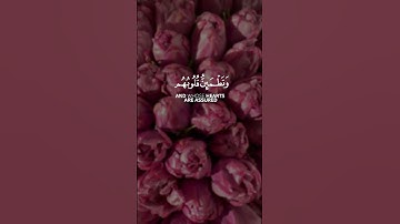 الذين ءامنوا و تطمئن قلوبهم بذكر الله ألا بذكر الله تطمئن القلوب || القارئ: فارس عباد