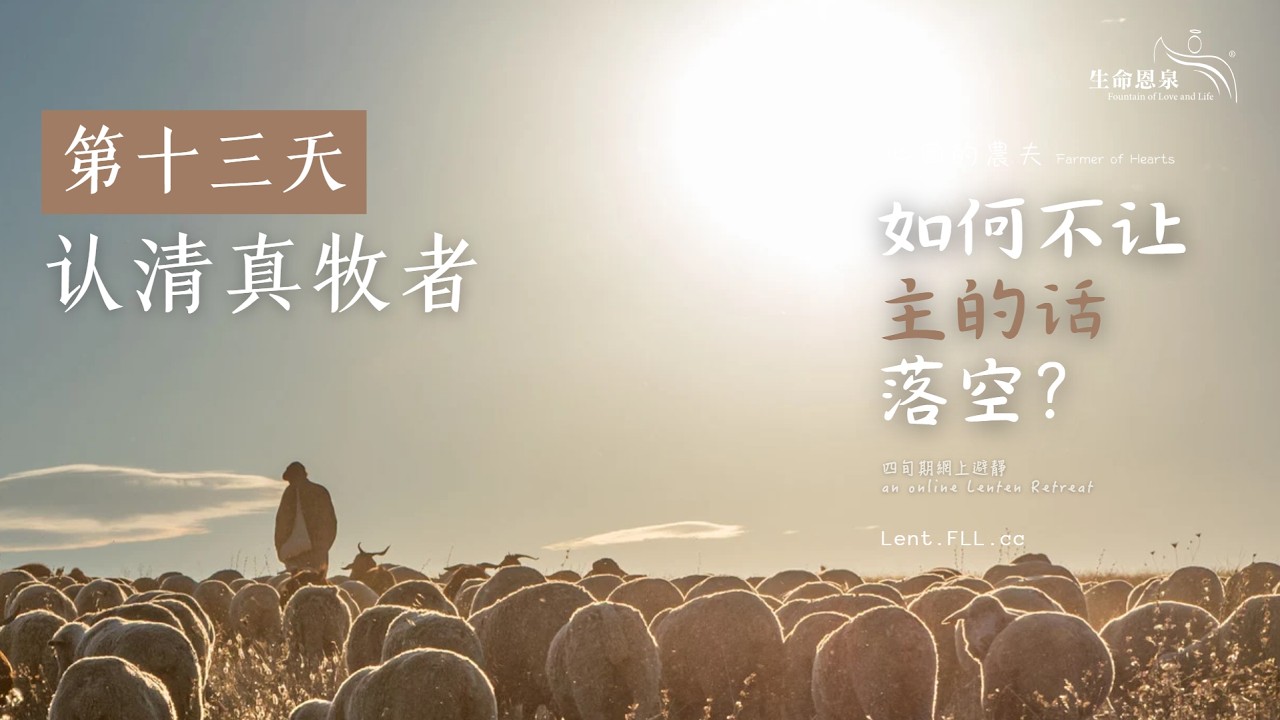 #如何不让主的话落空？ | 第十三天 | 认清真牧者 (普通话) #心田的农夫 - YouTube