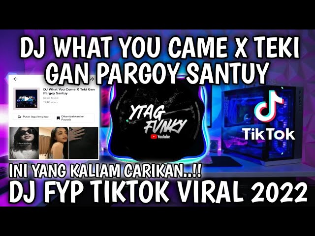 DJ what you came x teki gan pargoy santuy DJ FYP di viral Tik tok yang kalian cari2 class=