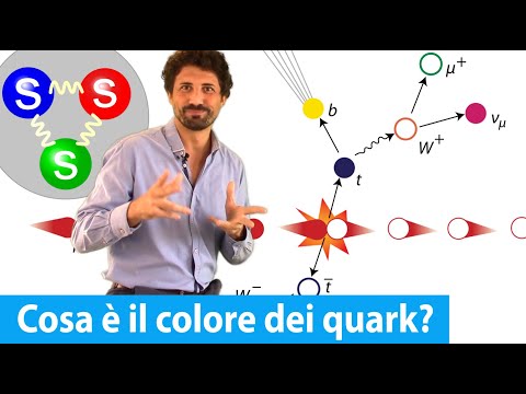 Video: Come si formano i quark?