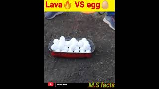 क्या होगा अगर लावा को कच्चे अंडो पर डाल दे || #shorts || #youtubeshort