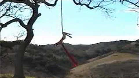 Aerial Silks