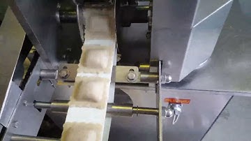 Производство пельменей - форма "равиоли"