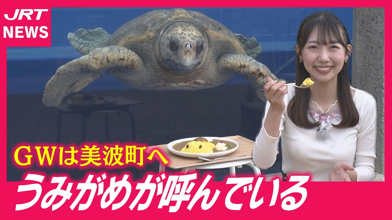 Recommended] Visit the Minami Sea Turtle Museum during Golden Week