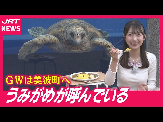 Recommended] Visit the Minami Sea Turtle Museum during Golden Week