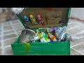 Mim the Mouse gets a special delivery