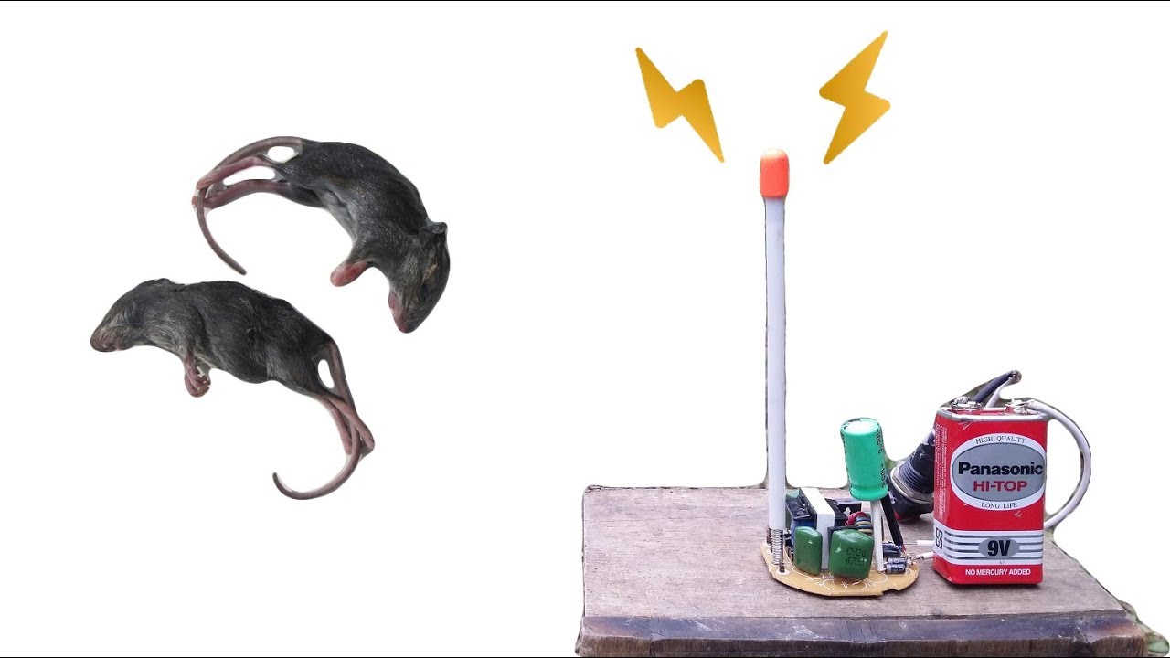 Manufacture of good acoustic electric insect-killing mice