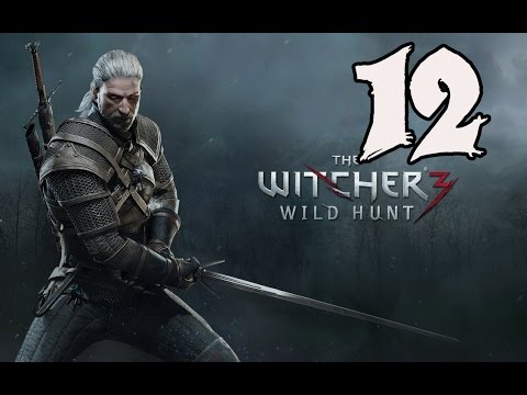 The Witcher 3: Wild Hunt - Gameplay Walkthrough Part 12: Imperial Decree