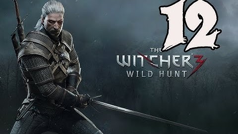 The Witcher 3: Wild Hunt - Gameplay Walkthrough Part 12: Imperial Decree