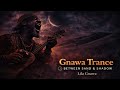 Gnawa Trance Between Sand Shadow Lila Gnawa 