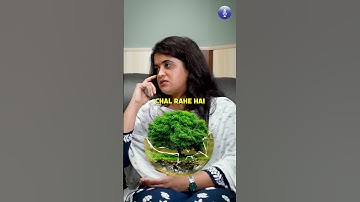 What Does A Day In The Life Of An Indian Forest Services Officer Look Like?