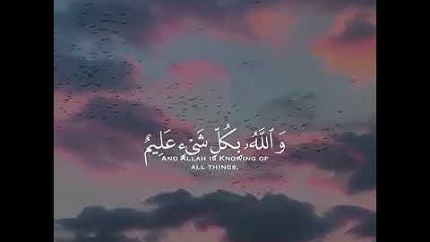 72 القارئ رعد الكردي تلاوة هادئة ♡ ارح قلبك حالات واتس اب   ستوريات قرآن    Quran  status