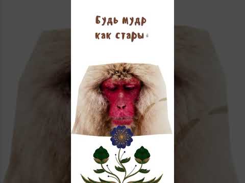 Будь мудр....