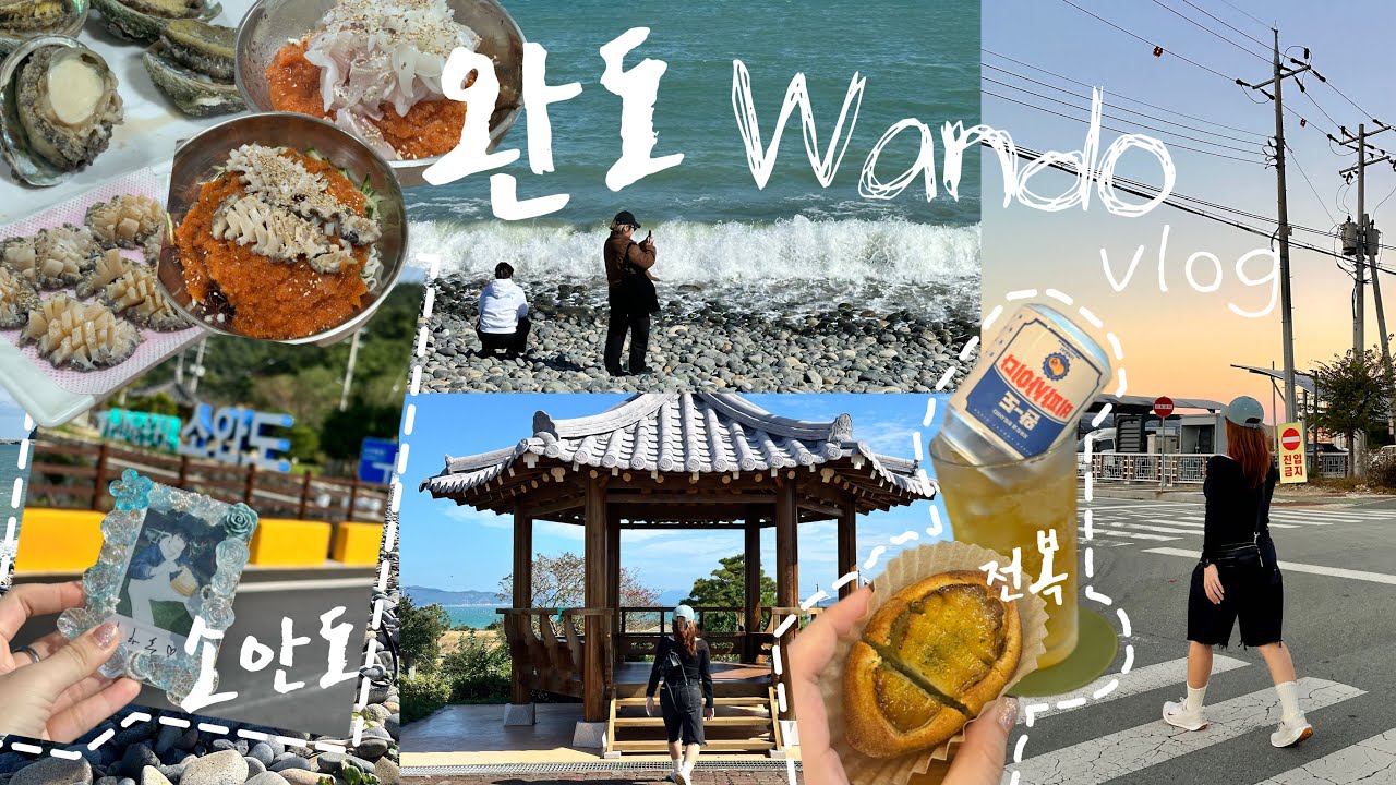 🇰🇷 seoul to wando 2d1n vlog | soando & everything we ate in wando
