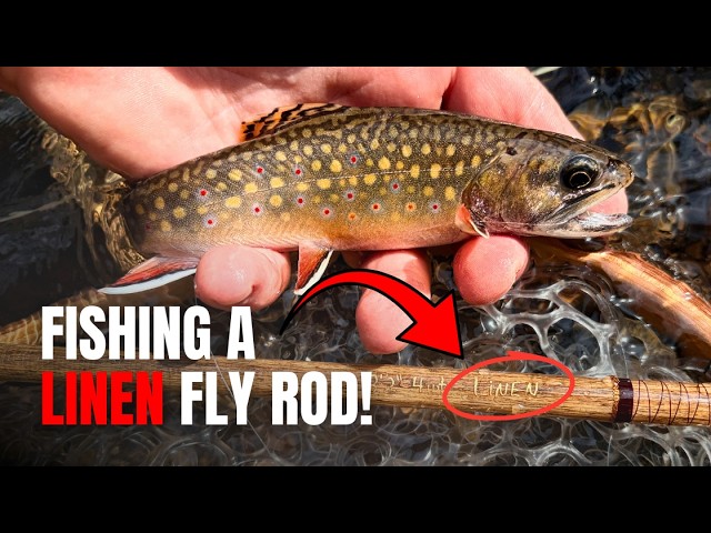 best spinning rod and reel combo for the money Best Rod and Reel Combos for 2026