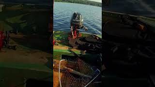 Вот он -судак#рыбалка #селигер #аудиокнига