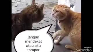 VIDEO LUCU !!! ketahuan selingkuh xD