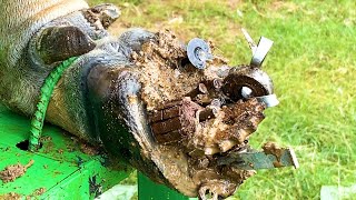 : Screw and Steel WAS STUCK IN cow's Hoof hoof Deep Cleaning