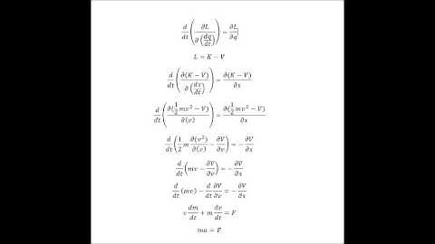 Introduction to Euler Lagrange equations. 