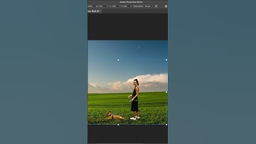 New Harmonize feature in Adobe Photoshop Beta