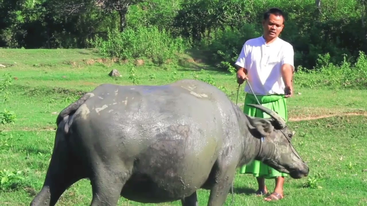 PROFIL DESA SEBEOK KECAMATAN ORONG TELU SUMBAWA NTB