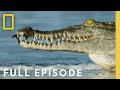 Oceans (Full Episode) | Hostile Planet image