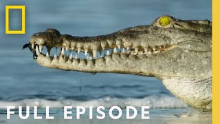 Oceans (Full Episode) | Hostile Planet image