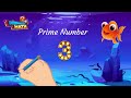 Quiz sobre Números Primos y Compuestos