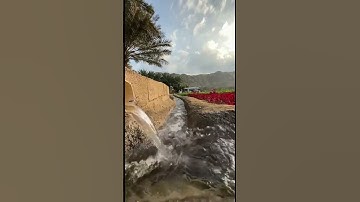 الشيخ/ أحمد علي الزهراني - ماتيسر من سورة فاطر (١)