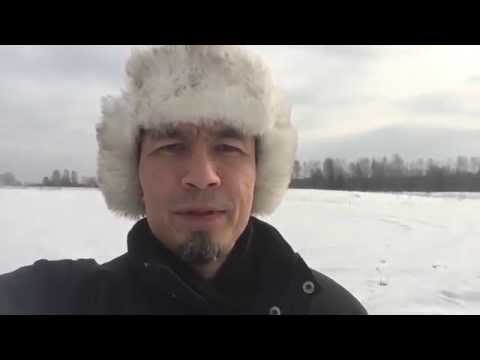 Привычка счастливого человека. Реализовывать мечты
