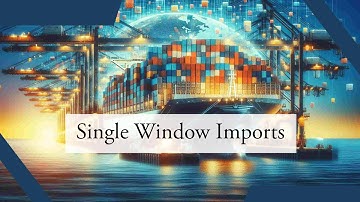 Streamlining Imports with a Single Window System