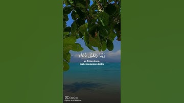 #لايك تلاوة هادئة من القرآن الكريم #اكسبلور