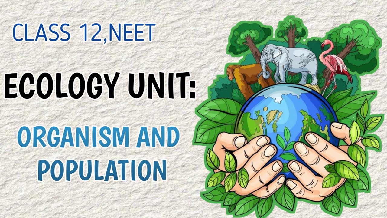 Organism And Population |Lecture 2 |Class 12th |NEET 