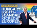 Could the EU Kick Hungary Out Over LGBTQ+ Laws? - TLDR News