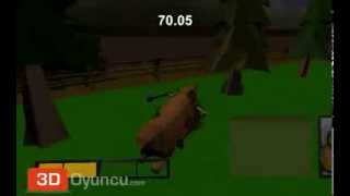 3D Ayı Saldırısı - 3D Oyunlar - 3D Macera Oyunları