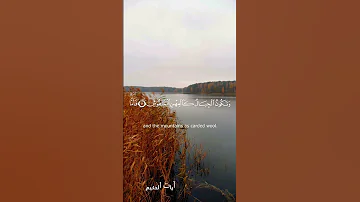 سورة القارعة القارئ حسام الدين عبادي Shorts 