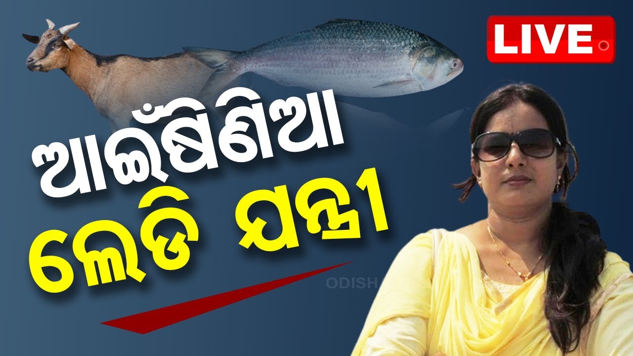 ????Live | ‘ଏ ଦିଦି ଭାରି ଆଇଁଷିଣିଆ’ | Lady Engineer | Odisha Vigilance | Jatani