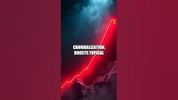 Semantic SEO for Micro Niches: A New Growth Path