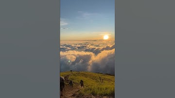 gunung sumbing via gajah mungkur .. view yang ga ada obat #shorts