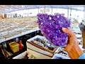 Crystals and Dinosaurs at the Tucson Gem, Mineral & Fossil Show 2020!