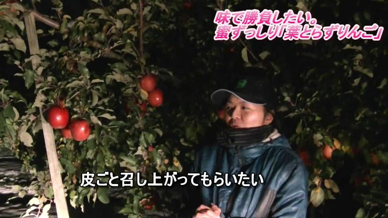 葉とらずりんごPV（石岡りんご園／青森県弘前市）