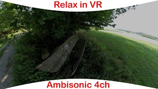 VR 360 | 20 Min. Relax In Nature | Sit On An Old Bench Under A Big Tree | Ambisonic Audio | 360Sound