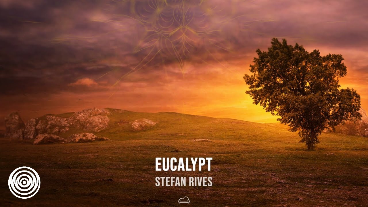 Watch Stefan Rives - Eucalypt on YouTube Watch Stefan Rives - Eucalypt on YouTube