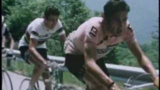 Eddy Merckx