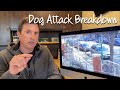 Dog attack//video breakdown