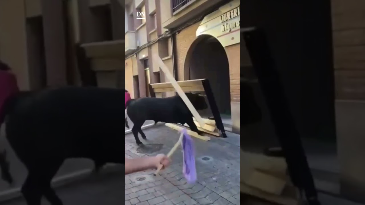Un TORO DESTROZA un BURLADERO en fiestas de PERALTA #shorts #navarra #toro #toros