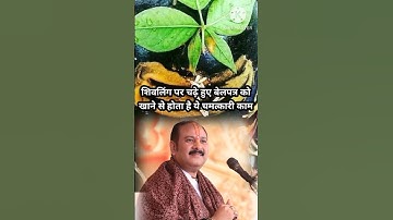चमत्कारी काम होगा शिवलिंग पर चढ़ा हुआ बेलपत्र खाने से #pradeepmishra #astrology #shorts #viralvideo