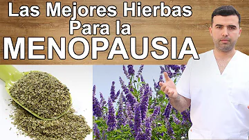 ¿Qué es lo mejor para la menopausia?