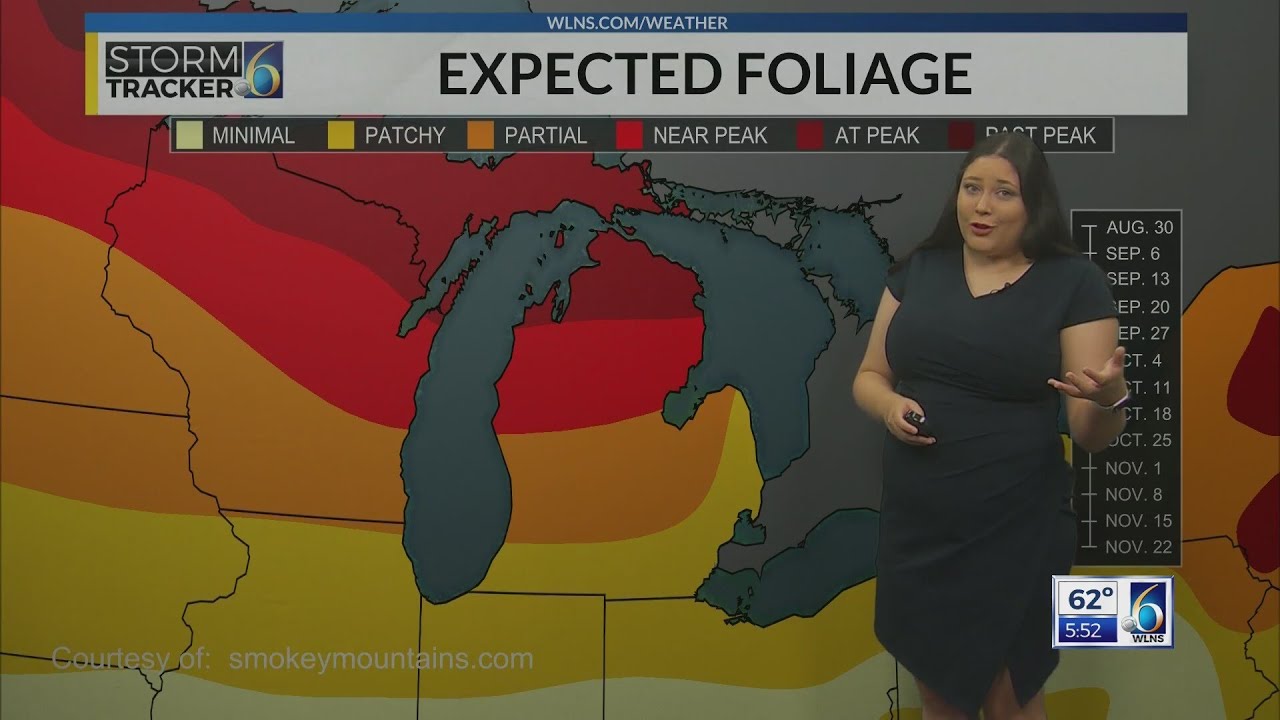 How Does Dry Weather Affect Fall Foliage How Does Dry Weather Affect Fall Foliage