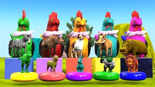 Paint & Animals Chicken,Tiger,Lion,Dog,Rabit,Monkey Fountain Crossing Transformation Animal Cartoon